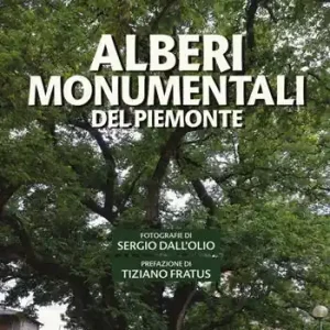 Alberi monumentali del Piemonte Prezzo Scontato