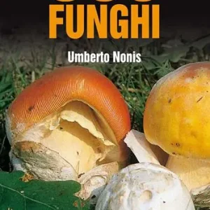 500 funghi Reso Gratuito