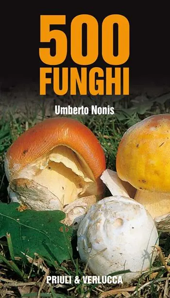 500 funghi Reso Gratuito