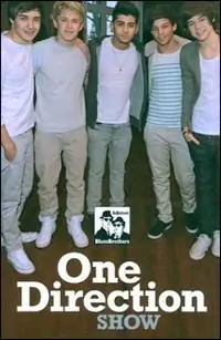 Pagamento Sicuro One Direction show