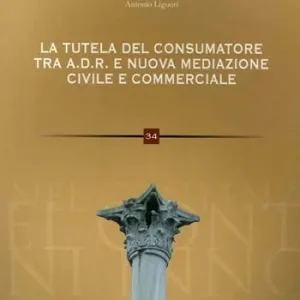 Pagamento Sicuro La tutela del consumatore. Risoluzione alternativa delle controversie ADR e nuova mediazione civile commerciale nei rapporti tra consumatori e professionisti