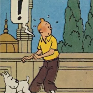 Beloeil. Tintin. Hergé e la belgité Compra Oggi Stesso