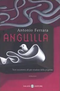 Consegna Rapida Anguilla
