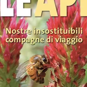 Compra Oggi Stesso Le api. Nostre insostituibili compagne di viaggio
