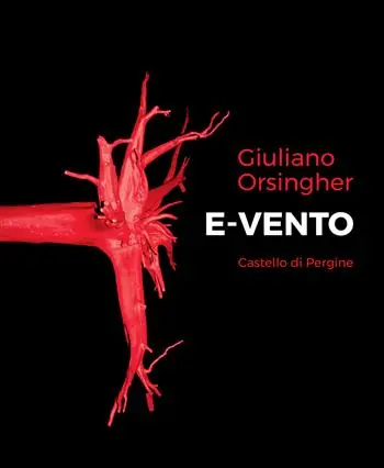 Ordina Subito E-vento. Arte ambiente