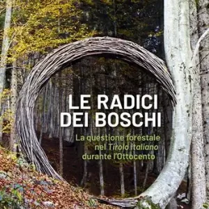 Acquista Ora Le radici dei boschi. La questione forestale nel Tirolo italiano durante l‘Ottocento