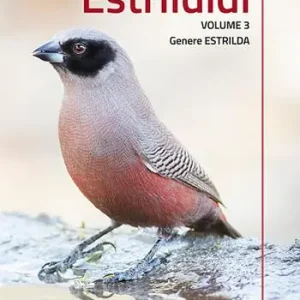 Quantità Limitata Estrildidi. Ediz. illustrata. Vol. 3 Genere Estrilda