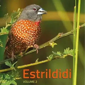 Prezzo Di Fabbrica Estrildidi. Vol. 2 Genere Clytospiza-Coccopygia-Cryptospiza