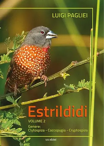Prezzo Di Fabbrica Estrildidi. Vol. 2 Genere Clytospiza-Coccopygia-Cryptospiza
