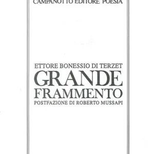 Grande frammento Compra Oggi Stesso