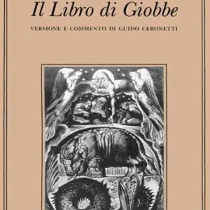 Direttamente Dal Produttore Il libro di Giobbe