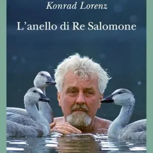 L‘anello di re Salomone Economico