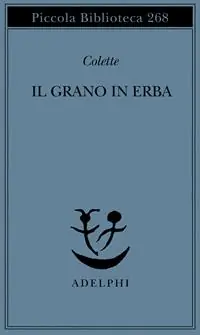 Il grano in erba Direttamente Dal Produttore