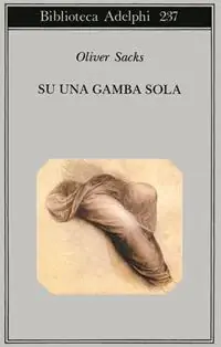 Offerta Limitata Su una gamba sola