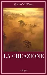 La creazione Professionale