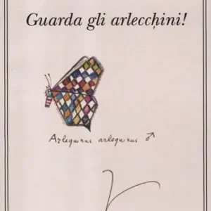 Guarda gli arlecchini! Acquista Ora
