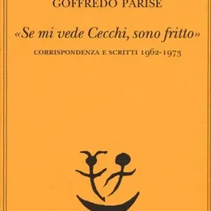 Affare «Se mi vede Cecchi, sono fritto». Corrispondenza e scritti 1962-1973