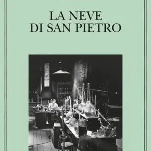 neve di San Pietro Prezzo Di Fabbrica