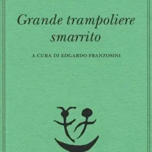 Grande trampoliere smarrito Pagamento Sicuro