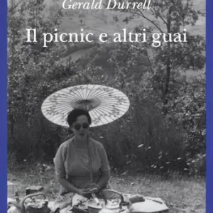 Pagamento Sicuro Il picnic e altri guai