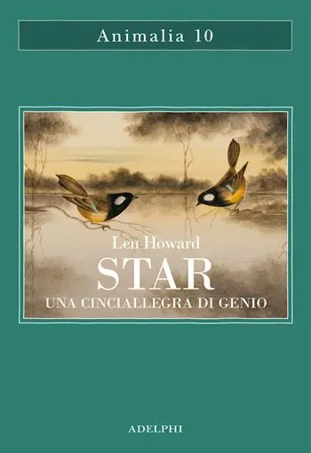 Star. Una cinciallegra di genio Sconto
