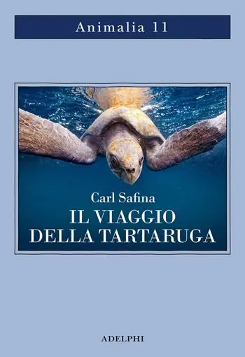 Spedizione Espresso Il viaggio della tartaruga. Alla ricerca dell’ultimo dinosauro