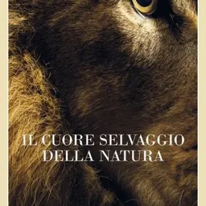 Saldi Il cuore selvaggio della natura. Dispacci dalle terre della meraviglia, del pericolo e della speranza