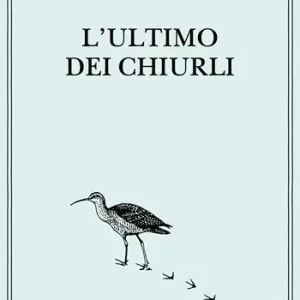 Ultime Pezzi L‘ultimo dei chiurli