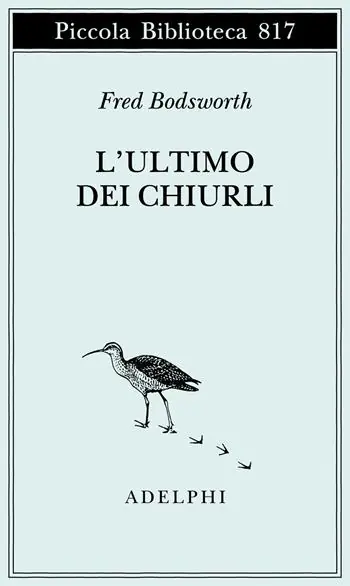 Ultime Pezzi L‘ultimo dei chiurli