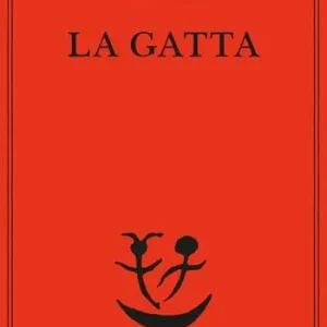 Occasione La gatta