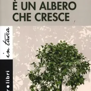 Il tempo è un albero che cresce Solo Oggi