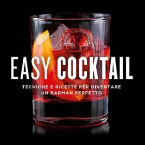 Easy cocktail. Tecniche e ricette per diventare un barman perfetto. Ediz. a colori Bestseller