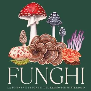 Direttamente Dal Produttore Funghi. La scienza e i segreti del regno più misterioso