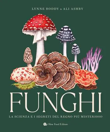 Direttamente Dal Produttore Funghi. La scienza e i segreti del regno più misterioso