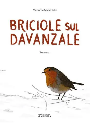 Offerta Briciole sul davanzale