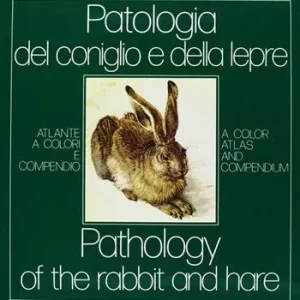 Ultimissimo Modello Patologia del coniglio e della lepre. Atlante a colori e compendio