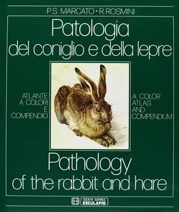 Ultimissimo Modello Patologia del coniglio e della lepre. Atlante a colori e compendio