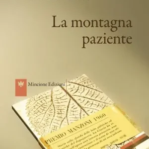 La montagna paziente Occasione