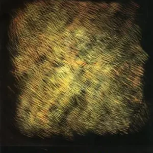 Antonio Noia. Il protagonismo dello spazio Prezzo Conveniente