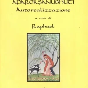 Aparokshânubhûti. Autorealizzazione. Con testo sanscrito Affare