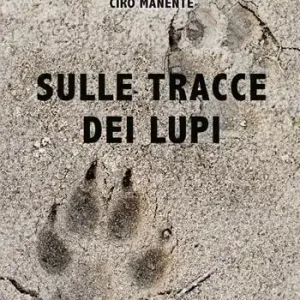 Non Perdere Sulle tracce dei lupi