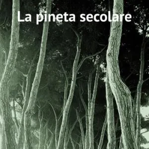La pineta secolare. La cattedrale arborea di Pineto tra storia e natura Sconto