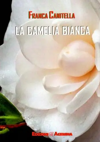 Prezzo Conveniente La camelia bianca