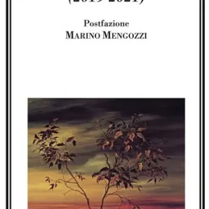 Affare Sul finire del viaggio (2019-2021)
