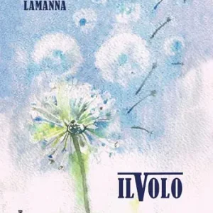 Il volo Prezzo Scontato