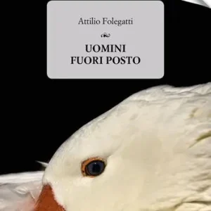 Soddisfatti O Rimborsati Uomini fuori posto