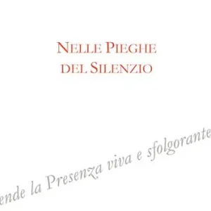 Nelle pieghe del silenzio Affare