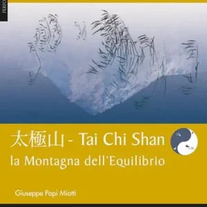 Tai chi shan. Montagna dell‘equilibrio Economico