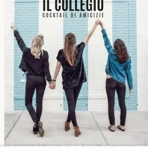 Bestseller Il collegio. Cocktail di amicizie