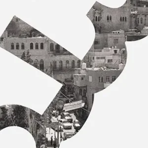 Professionale Al Salt. A photo documentary project. Ediz. italiana e inglese